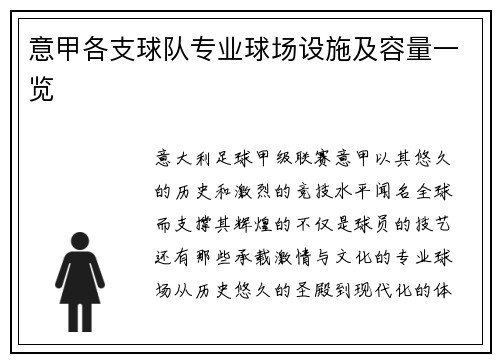 意甲各支球队专业球场设施及容量一览